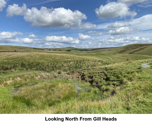 Looking north from Gill Heads.