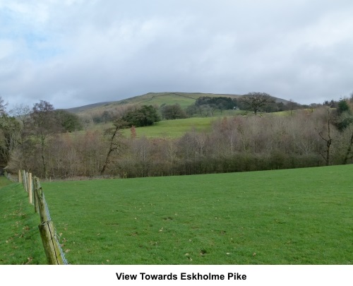 View towards Eskholme Pike