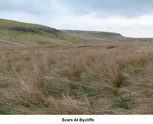 Scars at Bycliffe