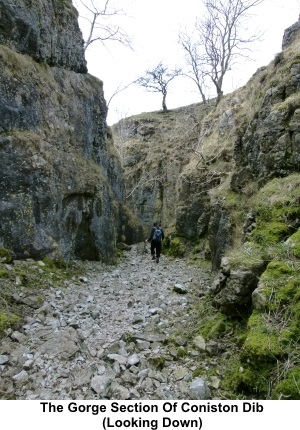 Gorge section of Conistone Dib looking down