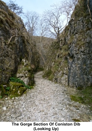 Gorge section of Conistone Dib looking up