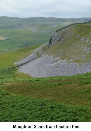 Moyghton Scar