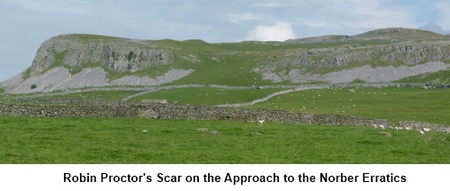 Robin Proctors Scar