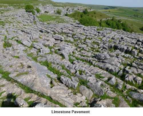 Limestone Pavement