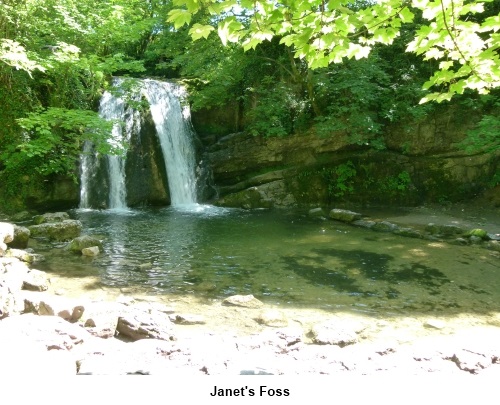 Janets Foss