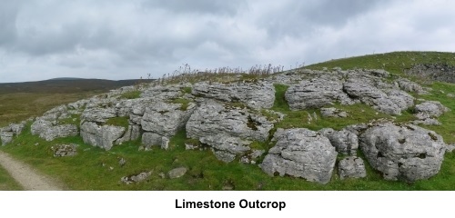 Limestone outcrop