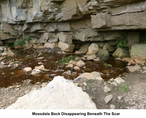 Mossdale Beck disappearing beneath the scar