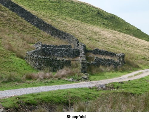 Sheepfold