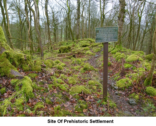 Site of a prehistoric settlement in Grass Wood.