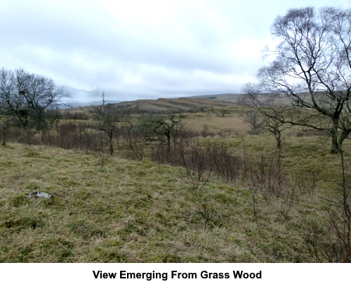 View on emerging from Grass Wood.