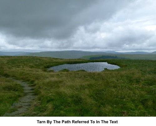 Tarn by the path