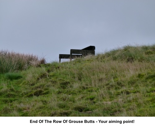 The end of a row of grouse butts