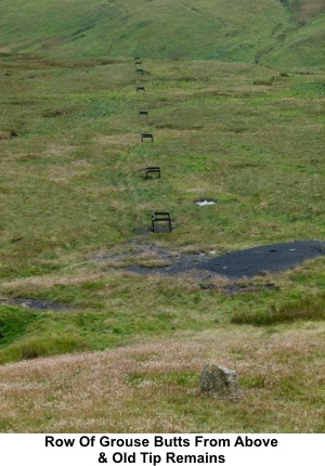 Row of grouse butts from above and old tip remains