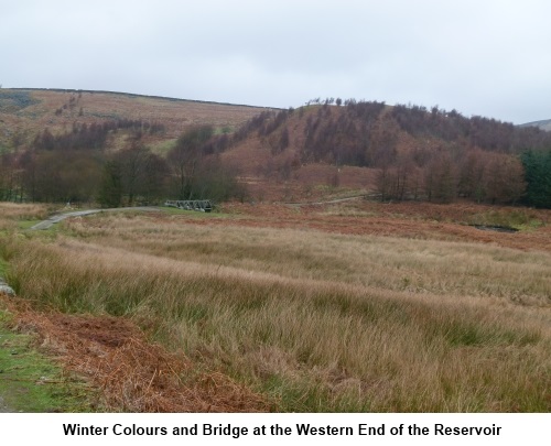 winter colours at Grimwith reservoir