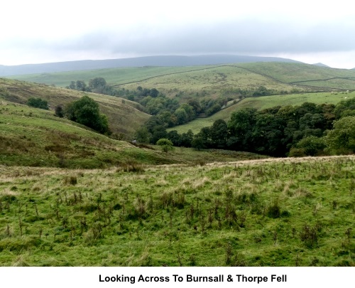 View to Burnsall Fell and Thorpe Fell