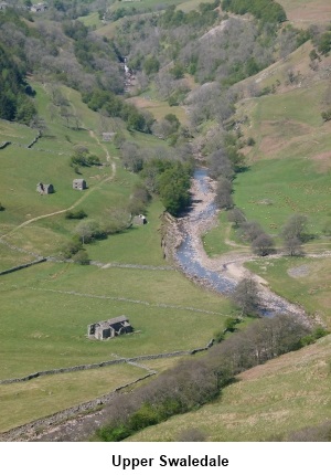 Upper Swaledale