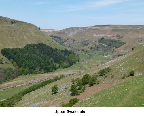 Upper Swaledale