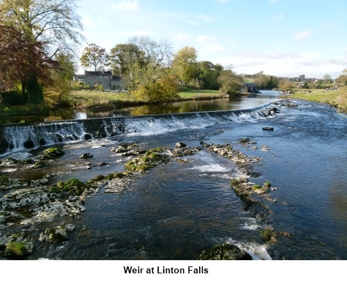Weir at Linton Falls