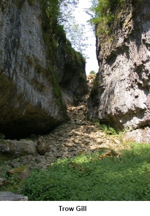 Trow Gill