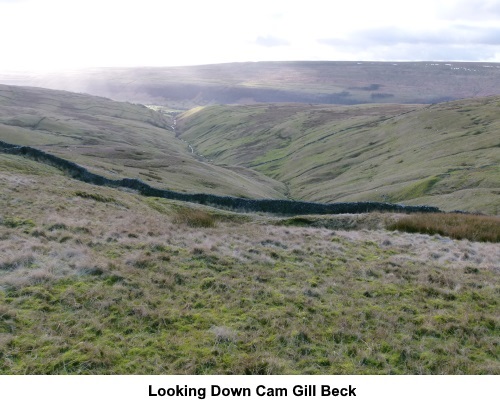 Looking down Cam Gill Beck.