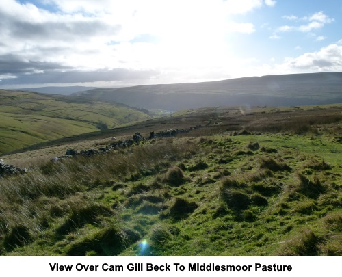 View over Cam Gill Beck to Middlesmoor Pasture.