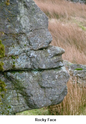 Rocky Face