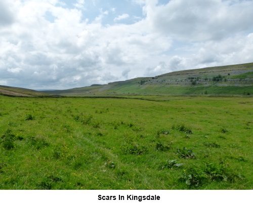 Limestone scars in Kingsdale.