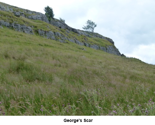 George's Scar.