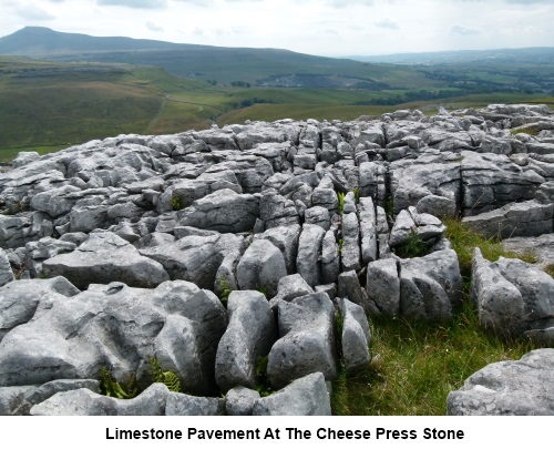 Limestone pavement at the Cheese Press Stone showing its clints and grykes.