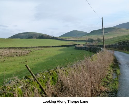 Looking along Thorpe Lane