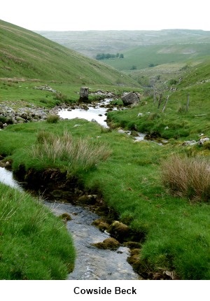 Cowside Beck