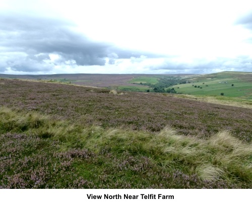 View north near Telfit Farm