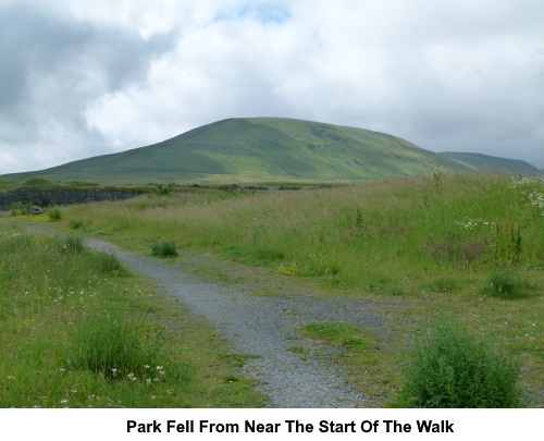 Park Fell from near the start of the walk.