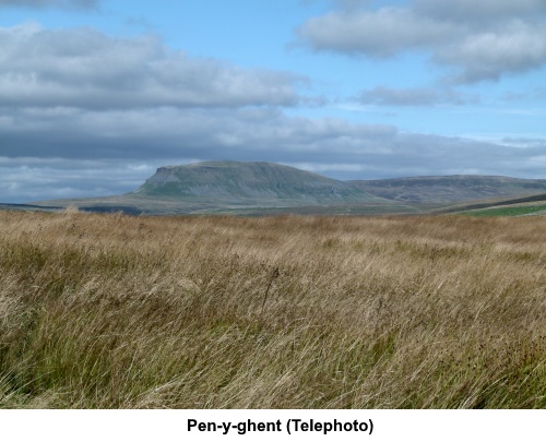 Pen y ghent.