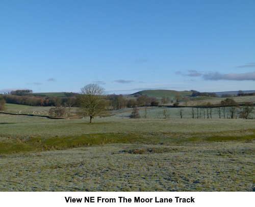 A view north from the Moor Lane track.