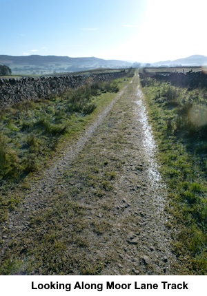 Looking along the Moor Lane track.