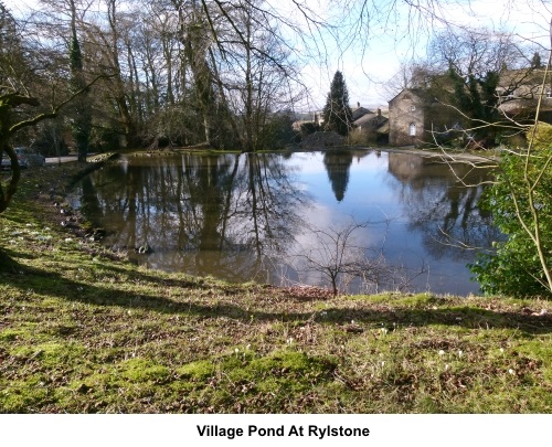 Rylstone village pond