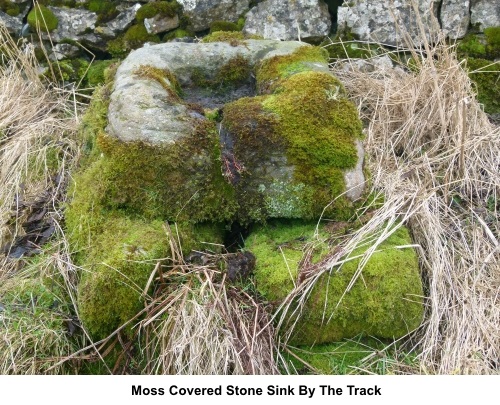 Moss covered stone sink