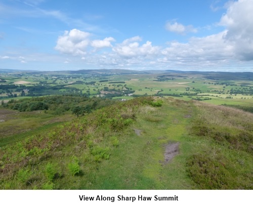 View along Sharp Haw summit