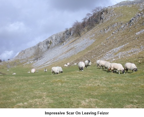 Limestone Scar at Feizor