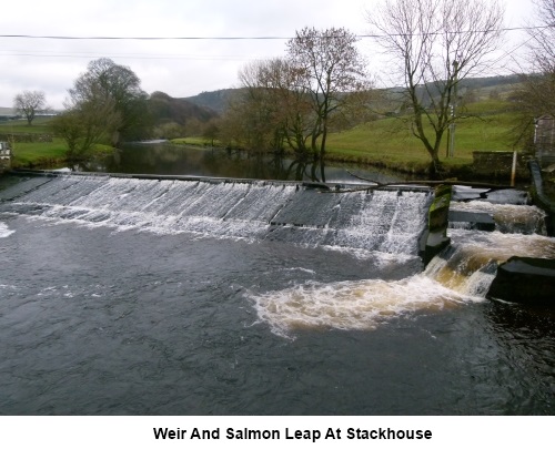 Weir and salmon leap at Stackhouse