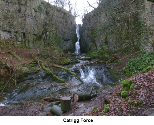 Catrigg Force