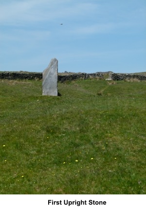 Upright stone on Threshfield Moor