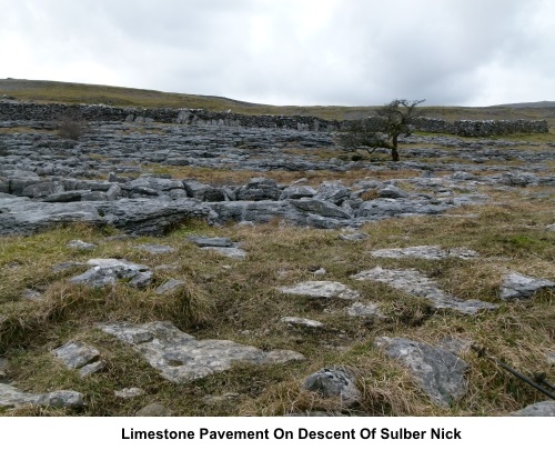 Limestone pavement