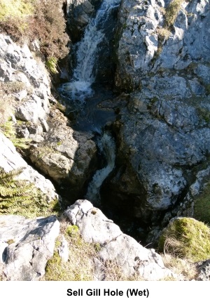 Sell Gill Hole - wet