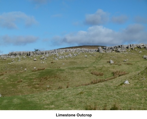 Limestone outcrop